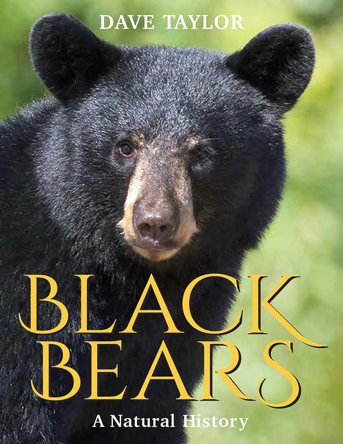 Vorderes Coverbild Black Bears