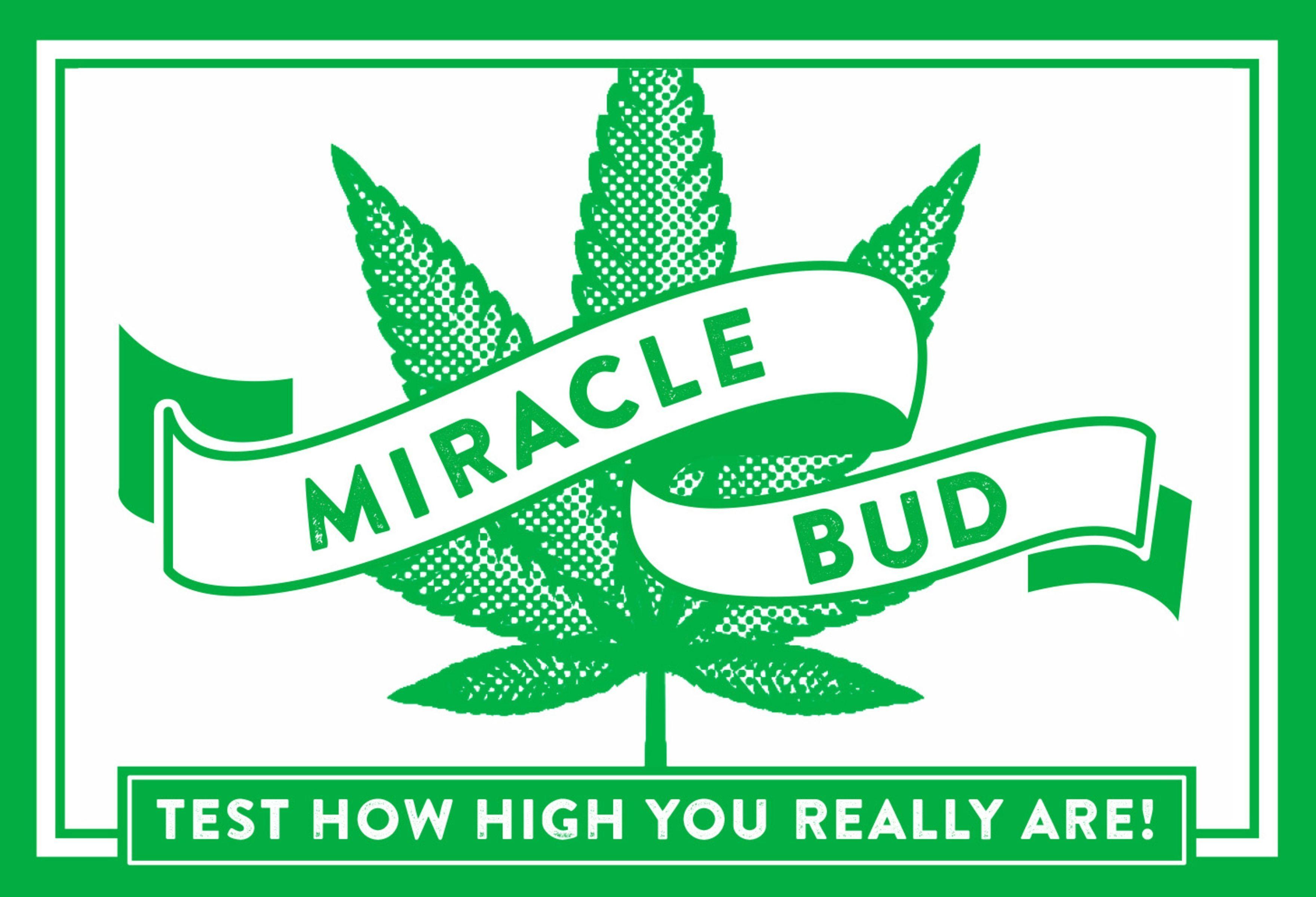 Vorderes Coverbild Miracle Bud
