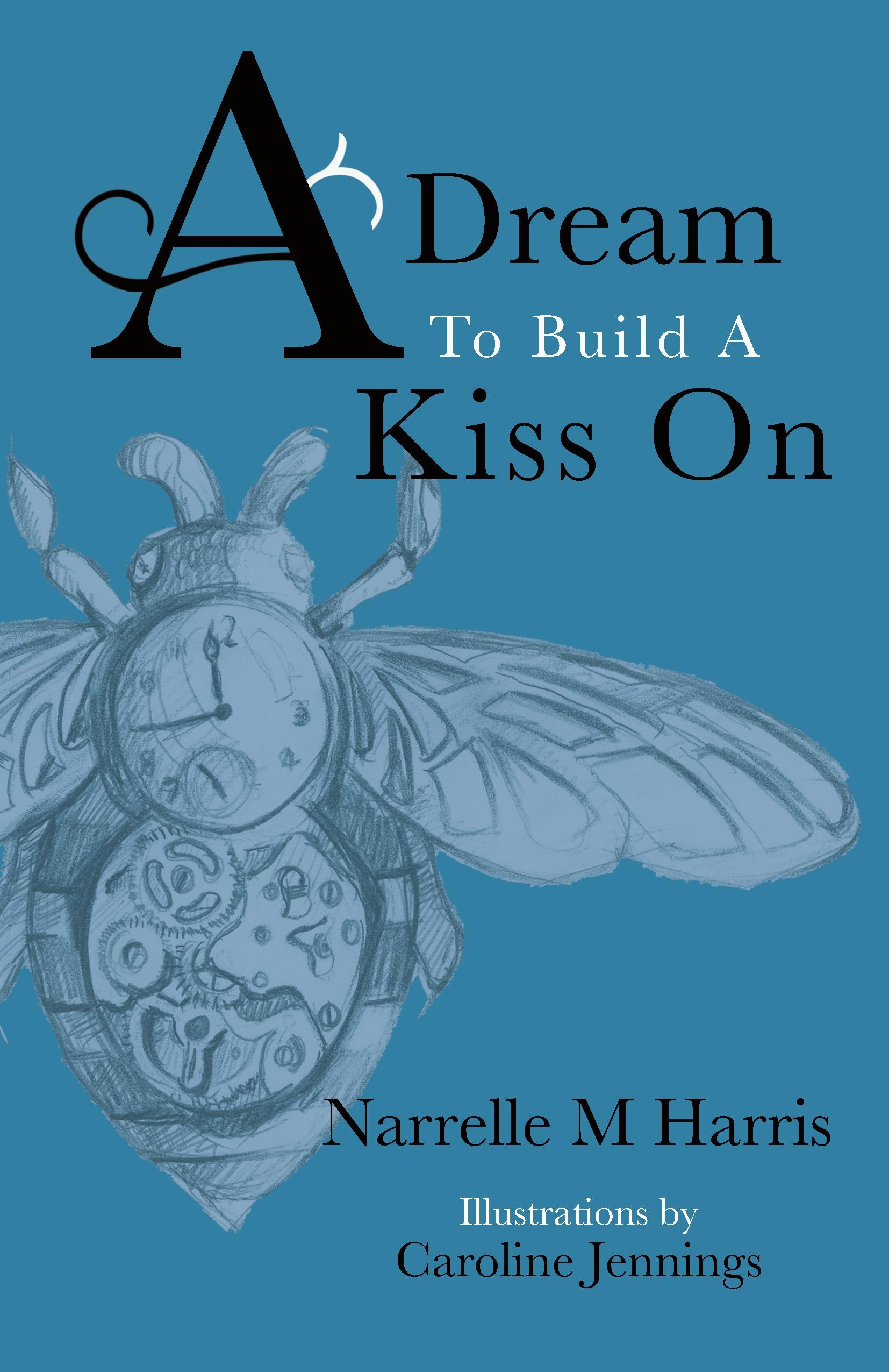 Vorderes Coverbild A Dream To Build A Kiss On