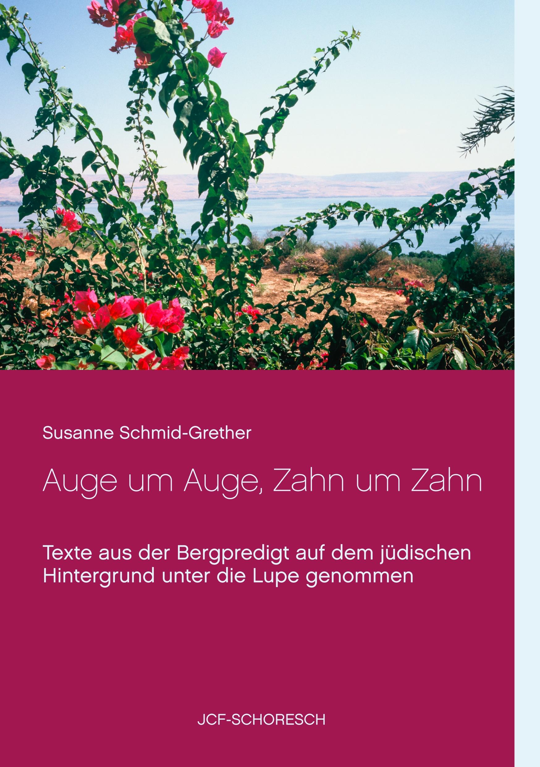 Vorderes Coverbild Auge um Auge, Zahn um Zahn