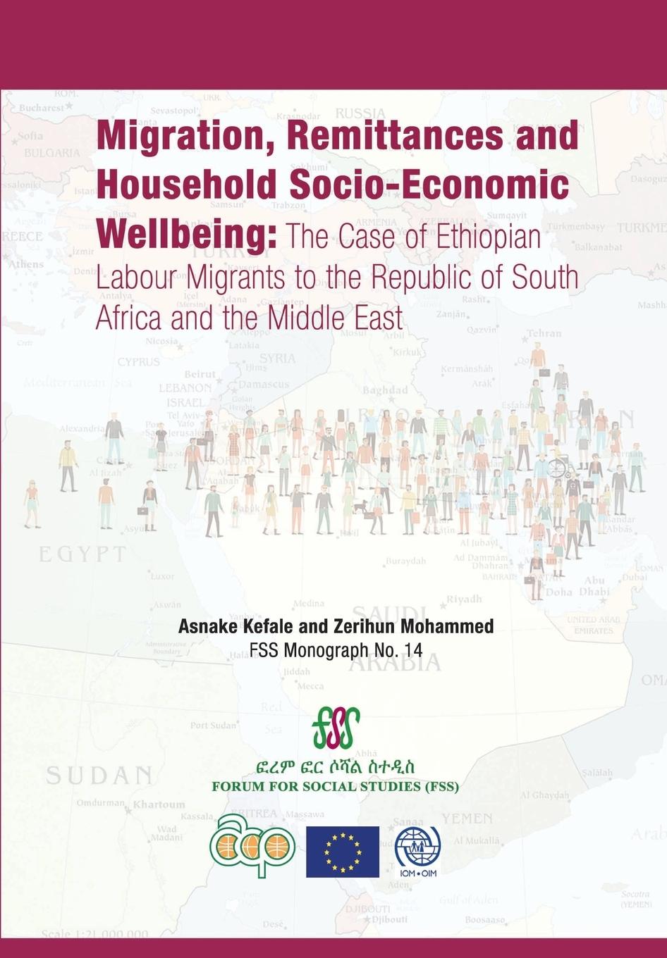 Vorderes Coverbild Migration, Remittances and Household Socio-Economic Wellbeing