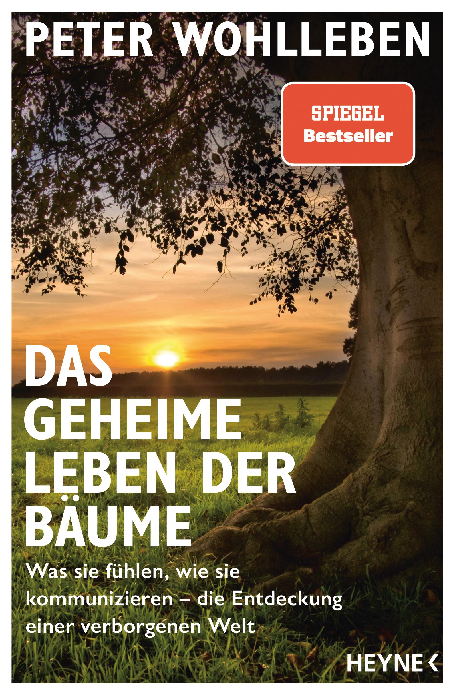 Vorderes Coverbild Das geheime Leben der Bäume