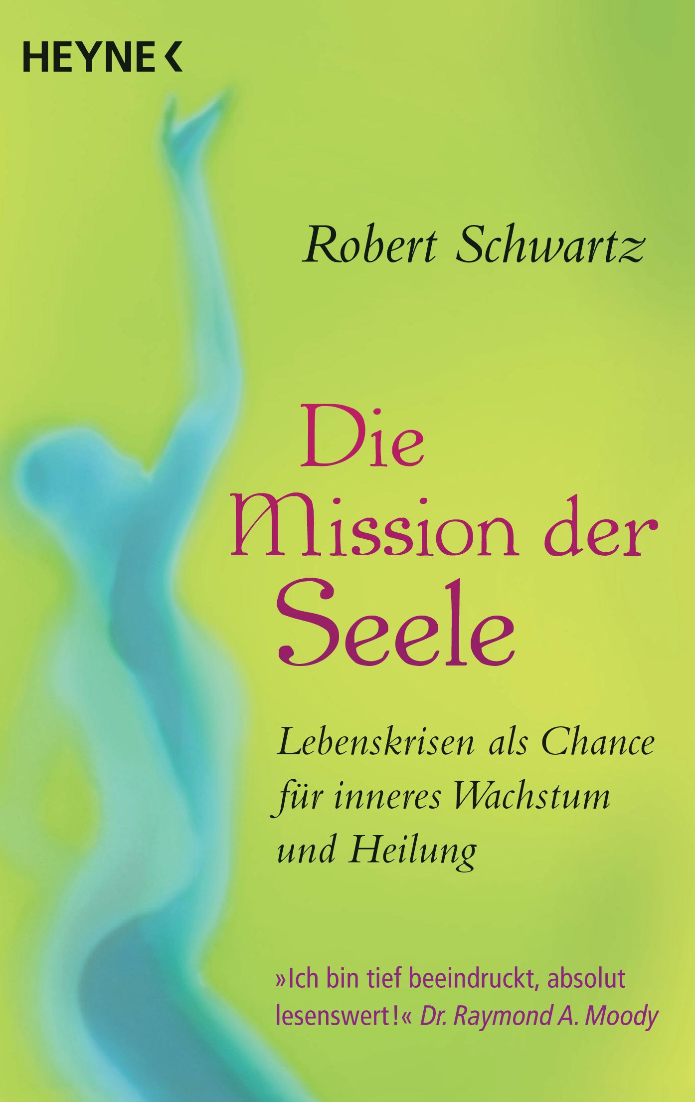 Vorderes Coverbild Die Mission der Seele