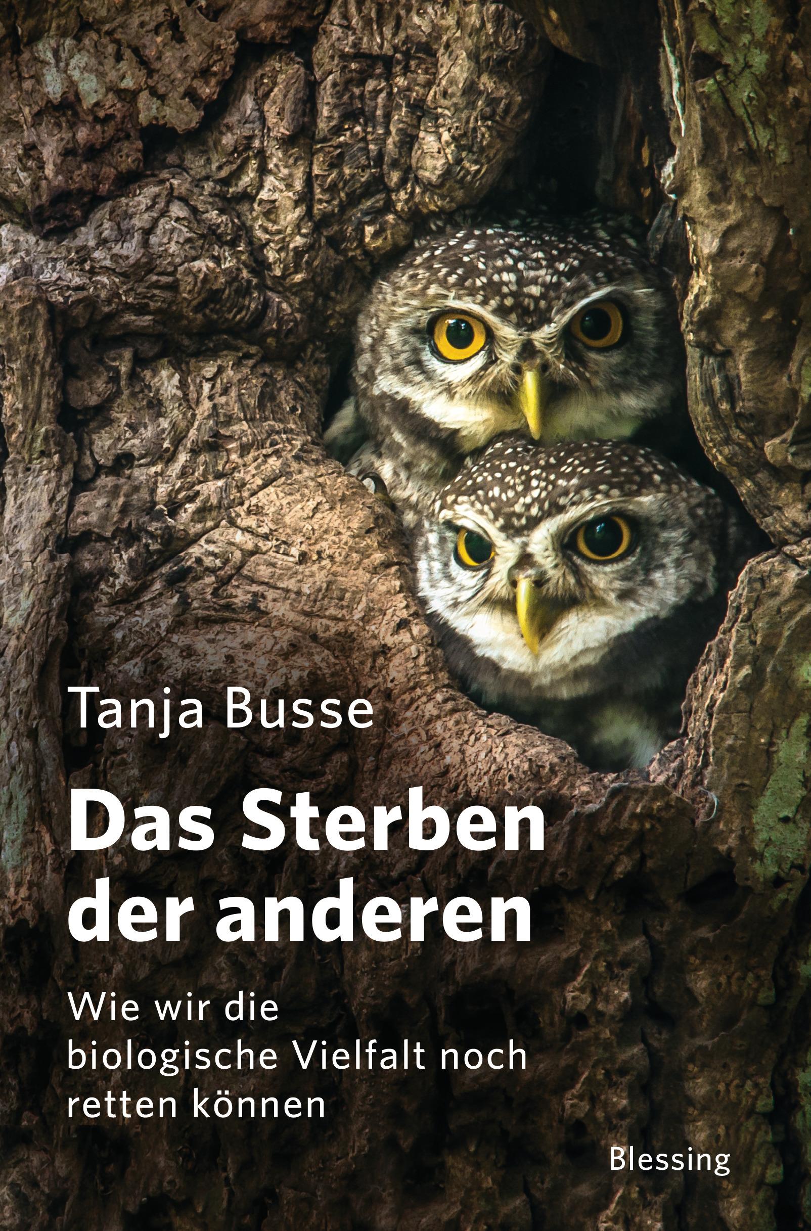 Vorderes Coverbild Das Sterben der anderen