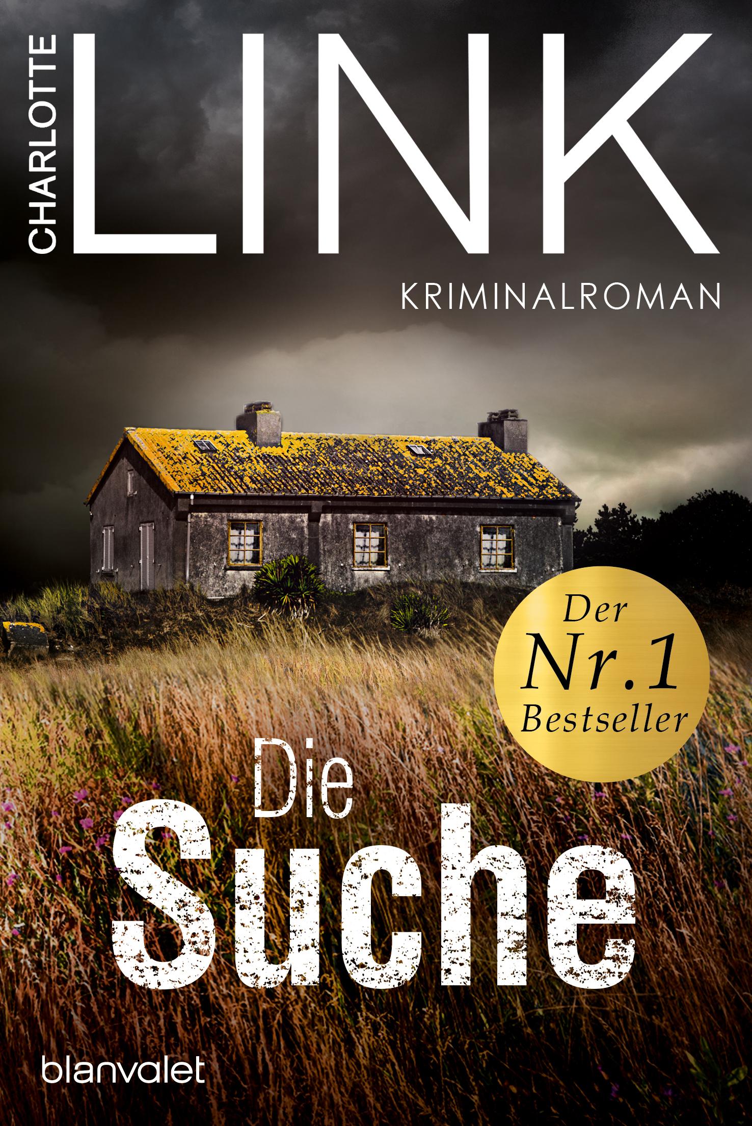 Vorderes Coverbild Die Suche
