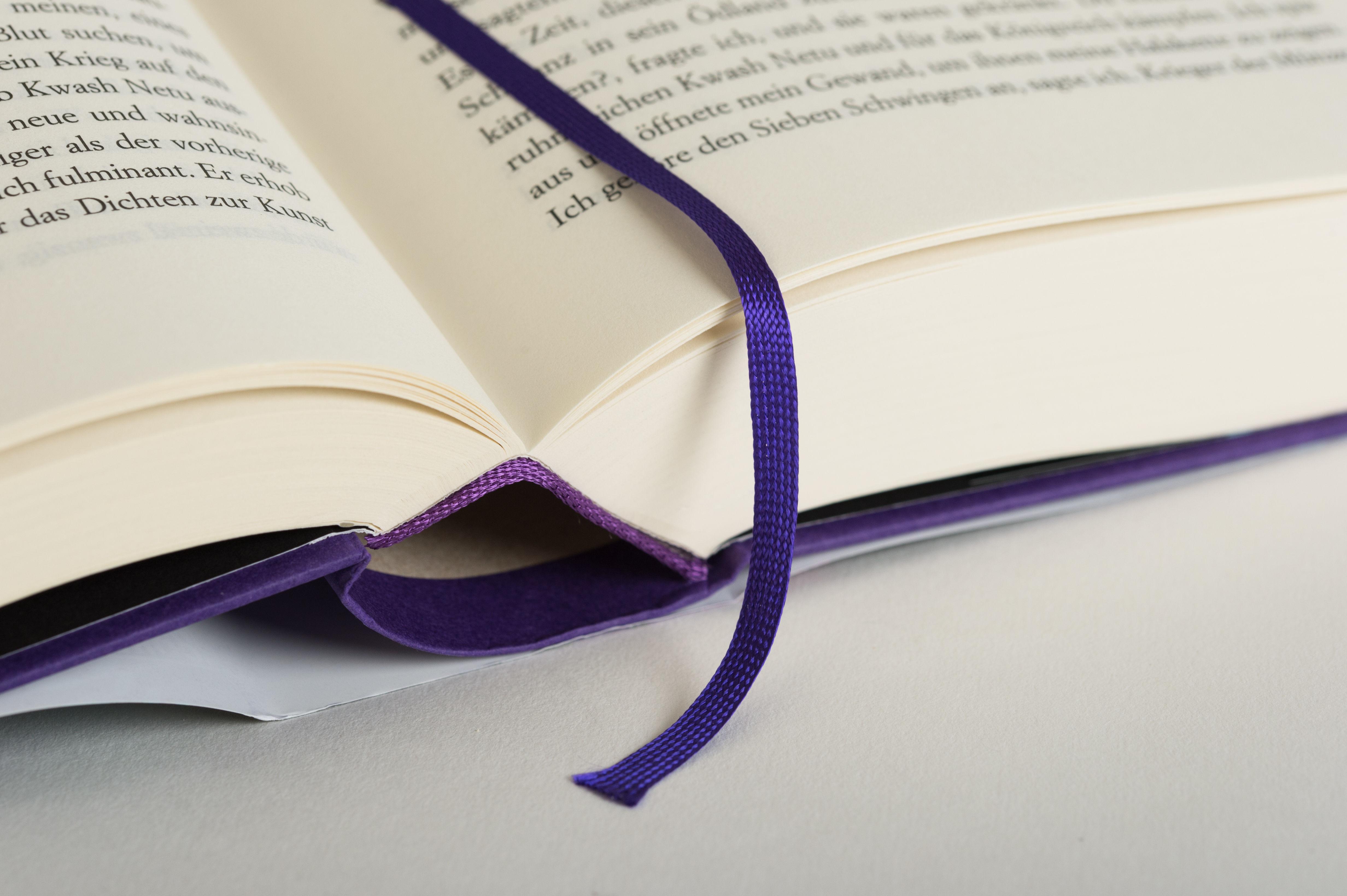 Beispielinhalt (Bild) Schwarzer Leopard, roter Wolf