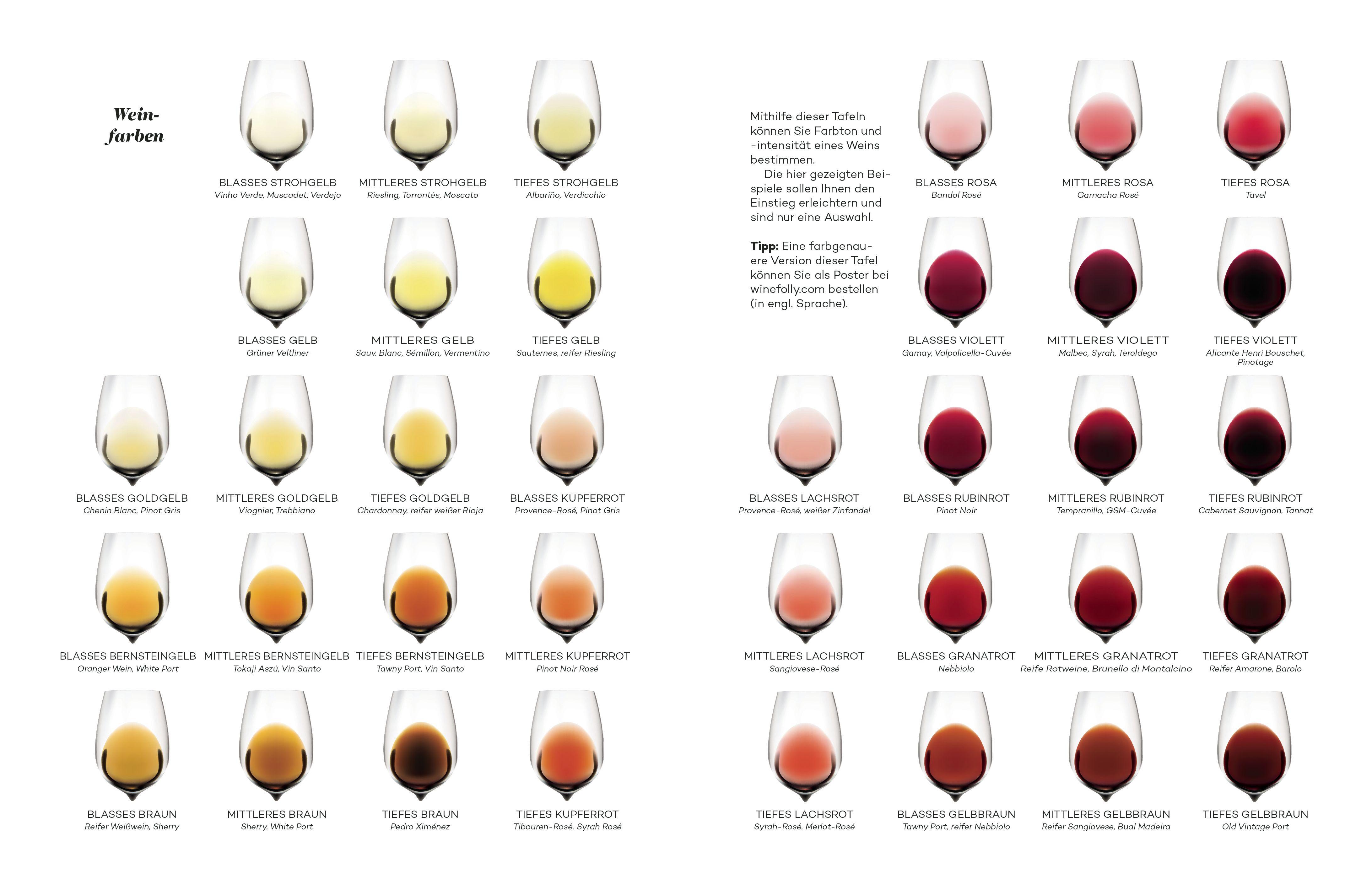 Beispielinhalt (Bild) Der Master-Wein-Guide