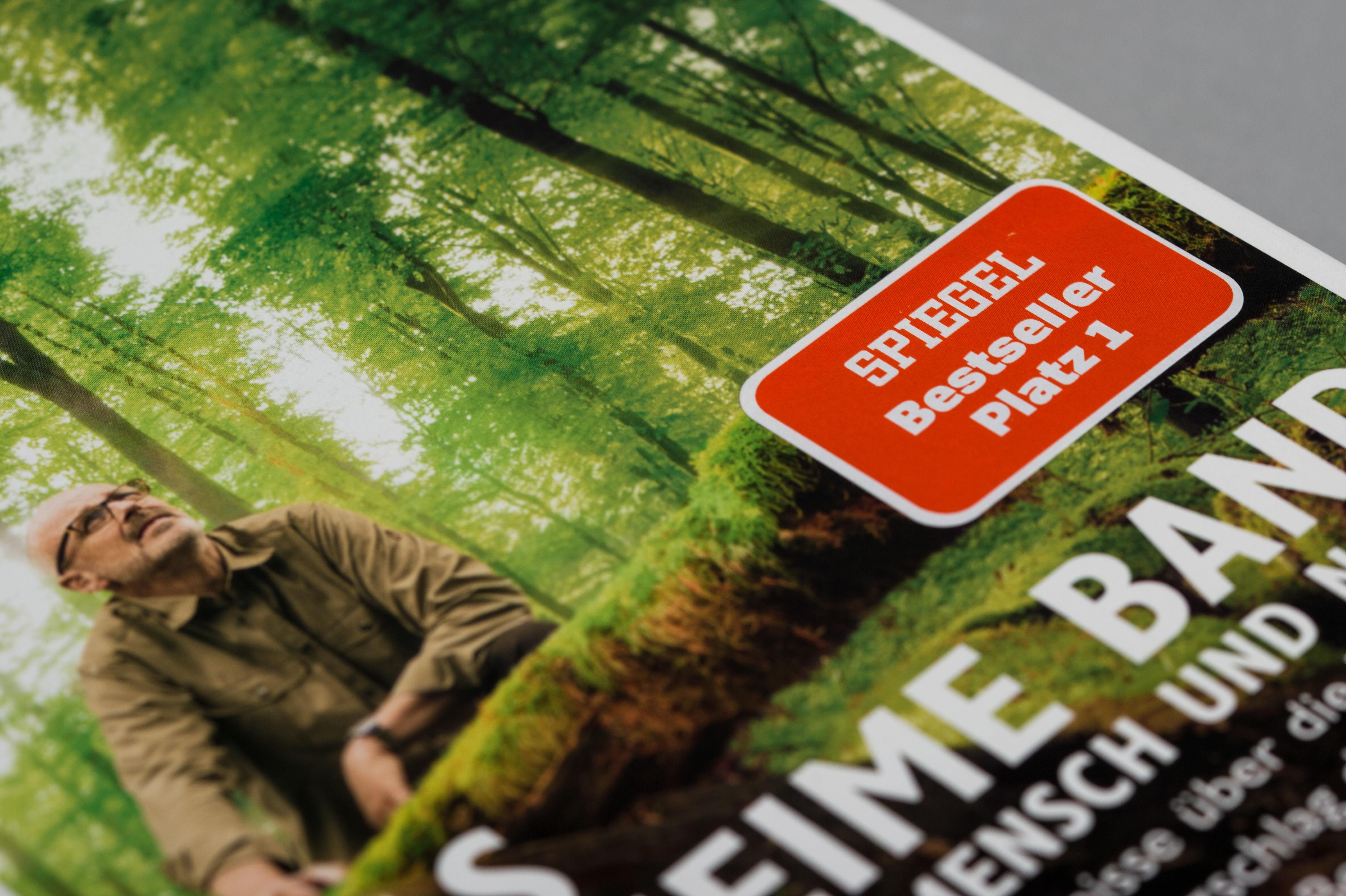 Beispielinhalt (Bild) Das geheime Band zwischen Mensch und Natur