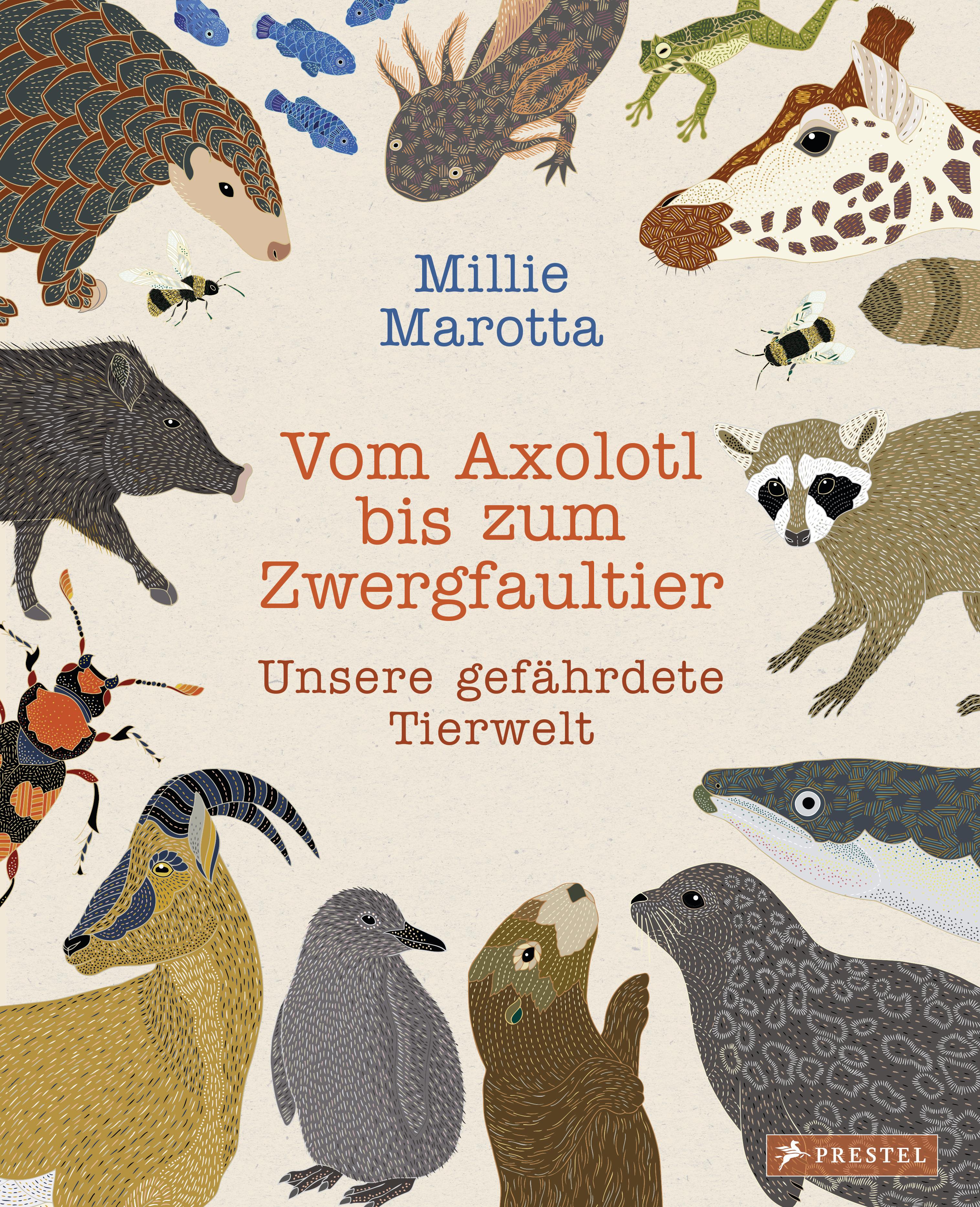 Vorderes Coverbild Vom Axolotl zum Zwergfaultier