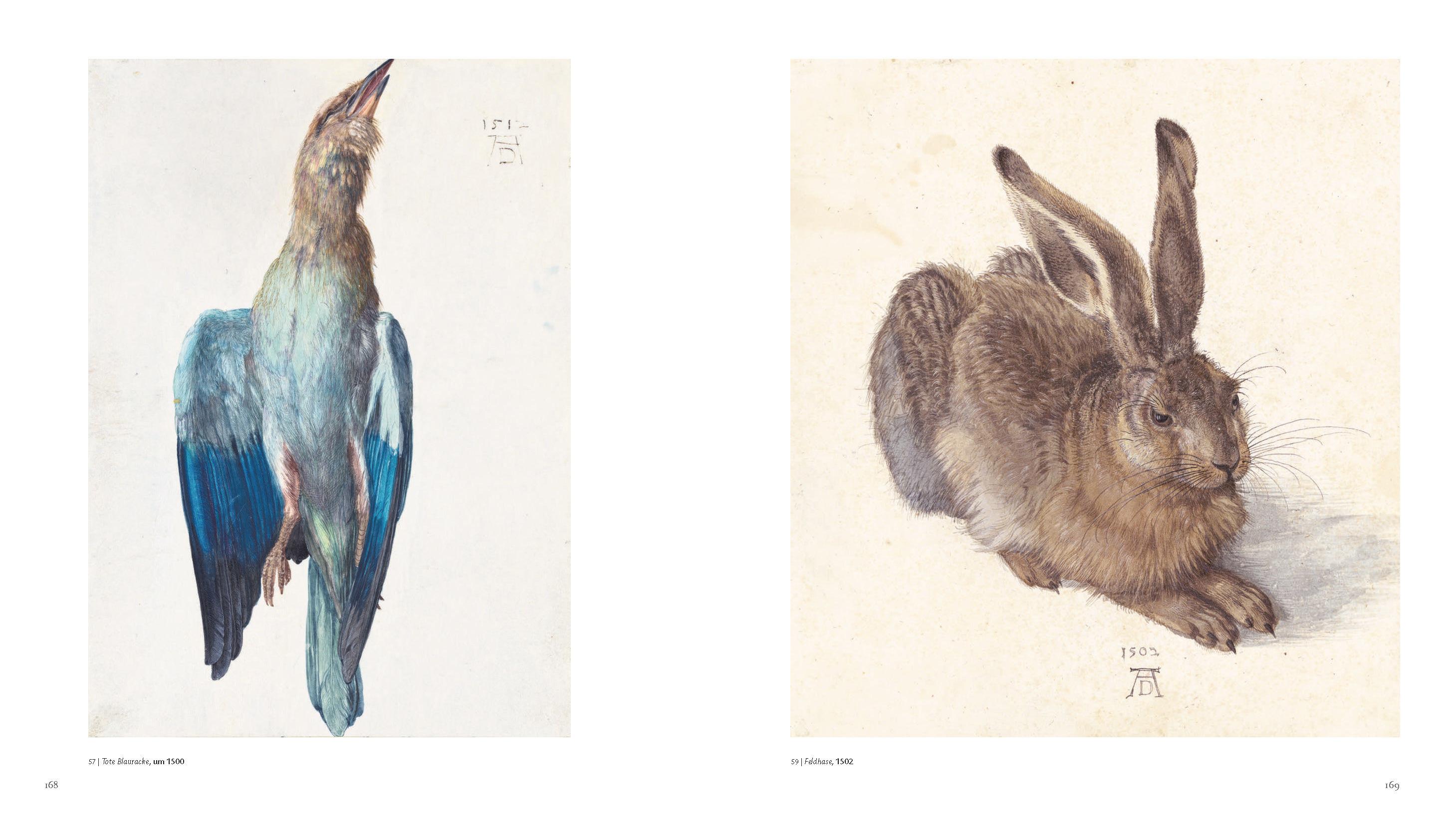 Beispielinhalt (Bild) Albrecht Dürer - dt.