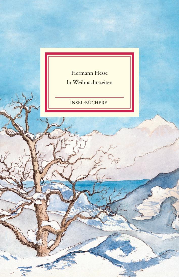 Vorderes Coverbild In Weihnachtszeiten
