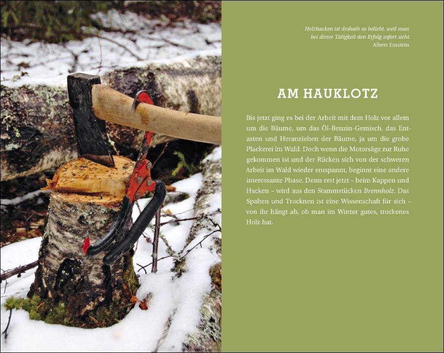 Beispielinhalt (Bild) Der Mann und das Holz