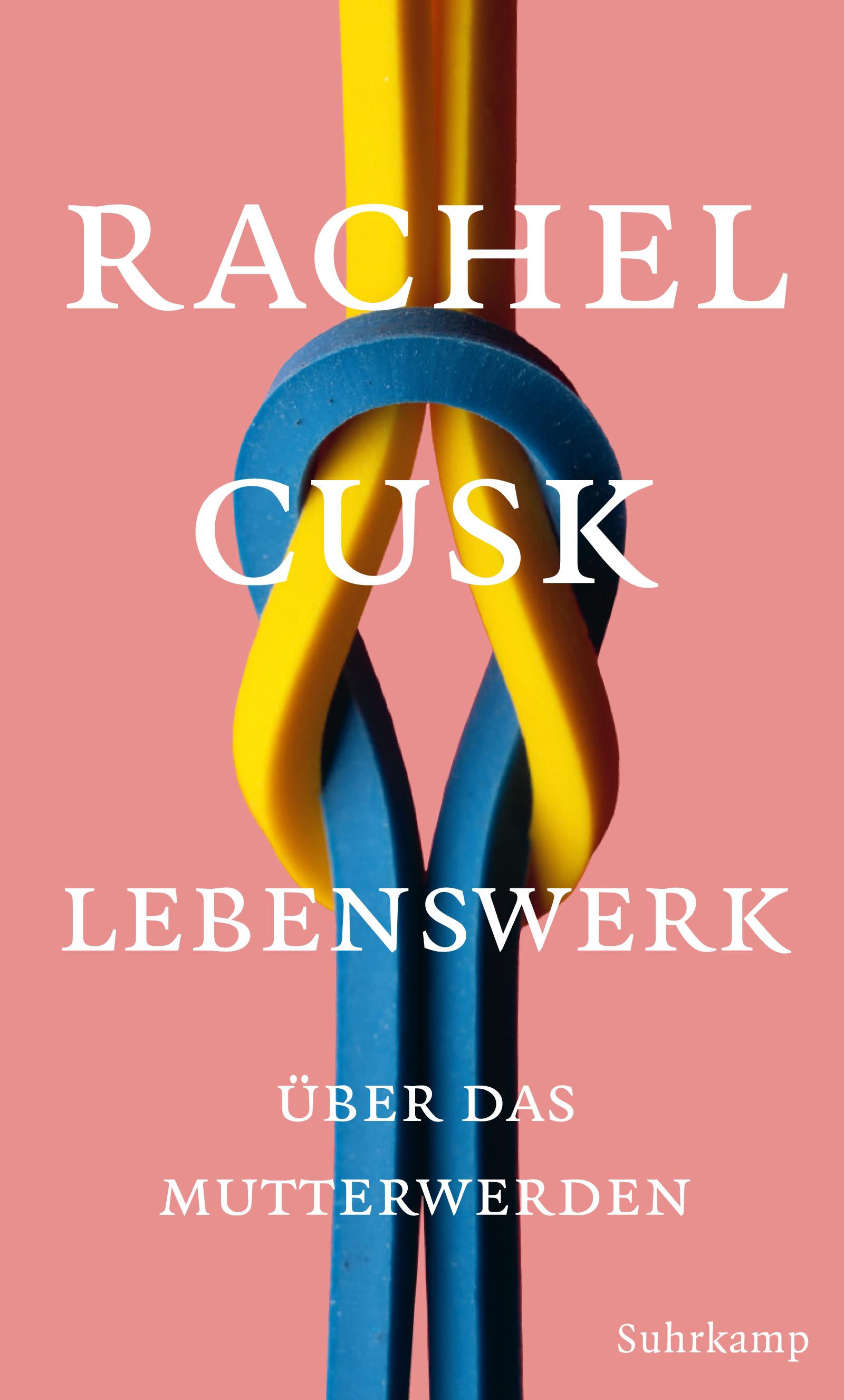 Vorderes Coverbild Lebenswerk
