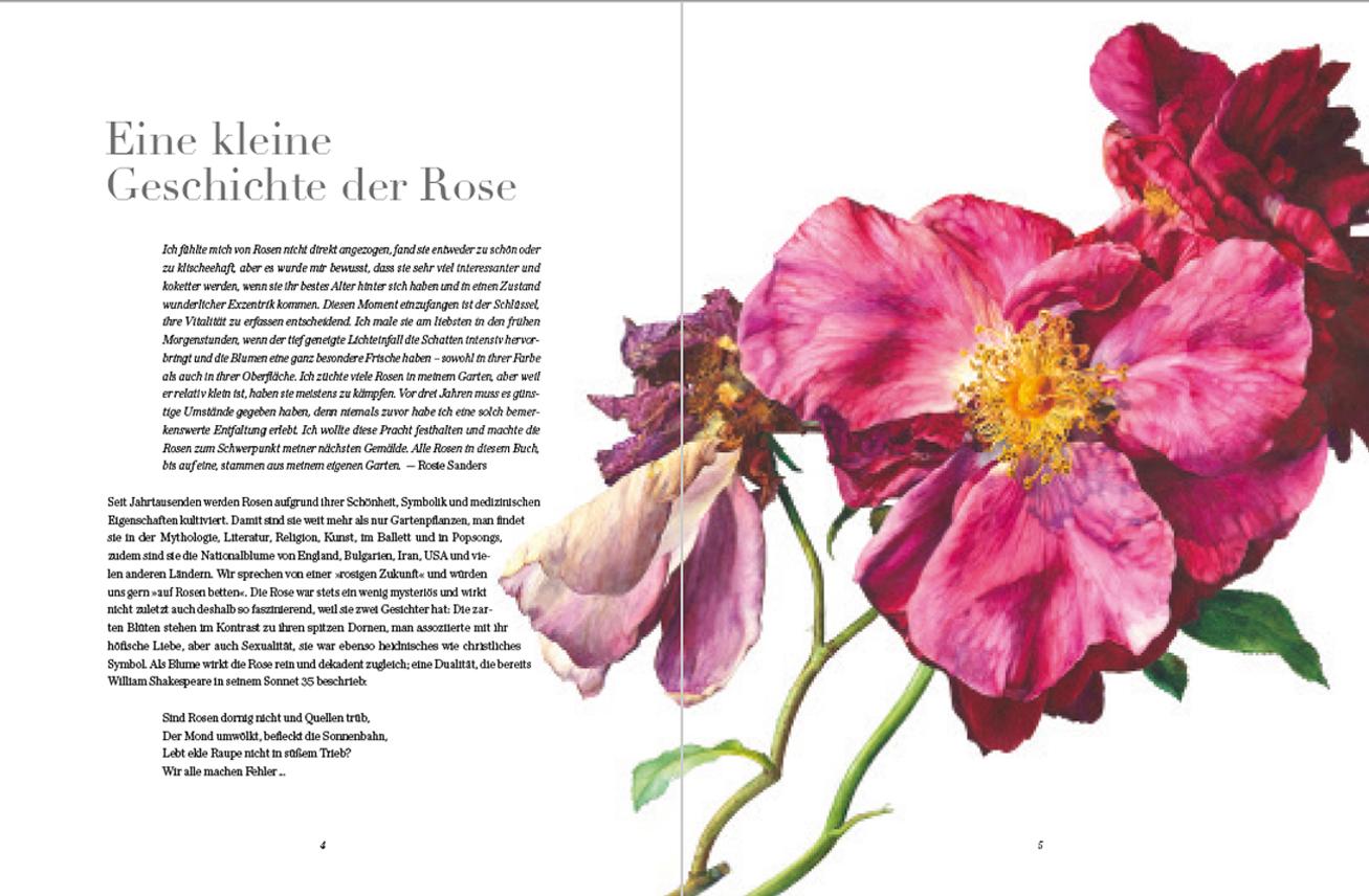 Beispielinhalt (Bild) Rosen