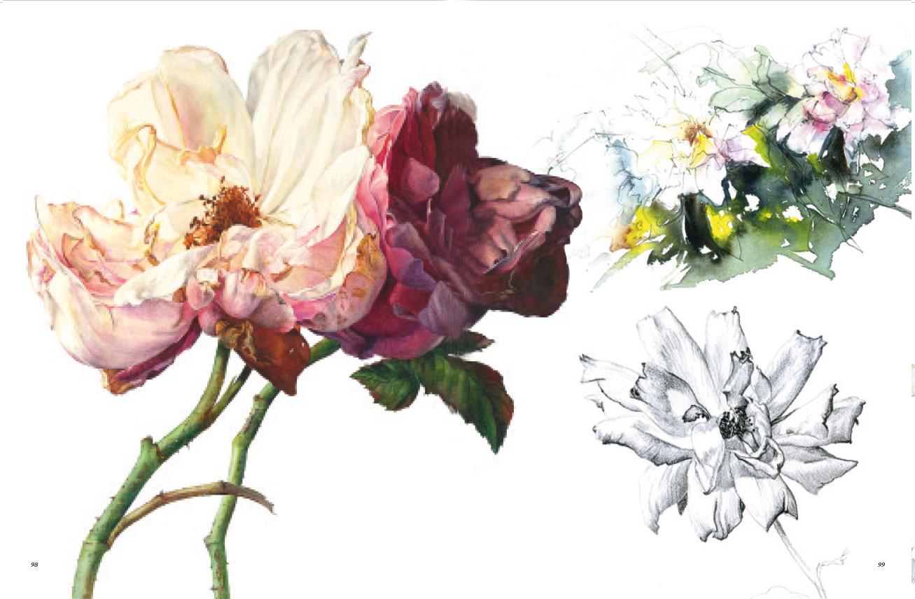Beispielinhalt (Bild) Rosen