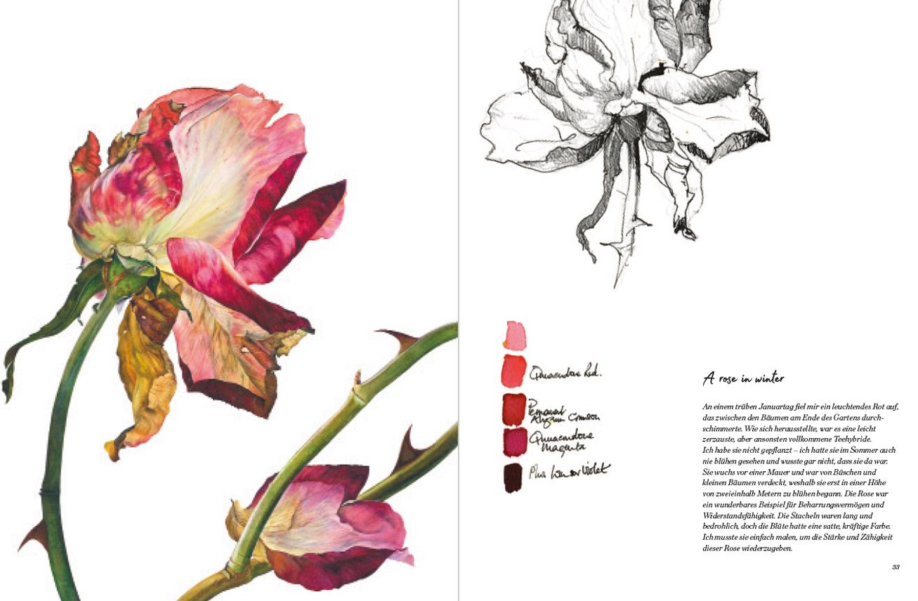 Beispielinhalt (Bild) Rosen