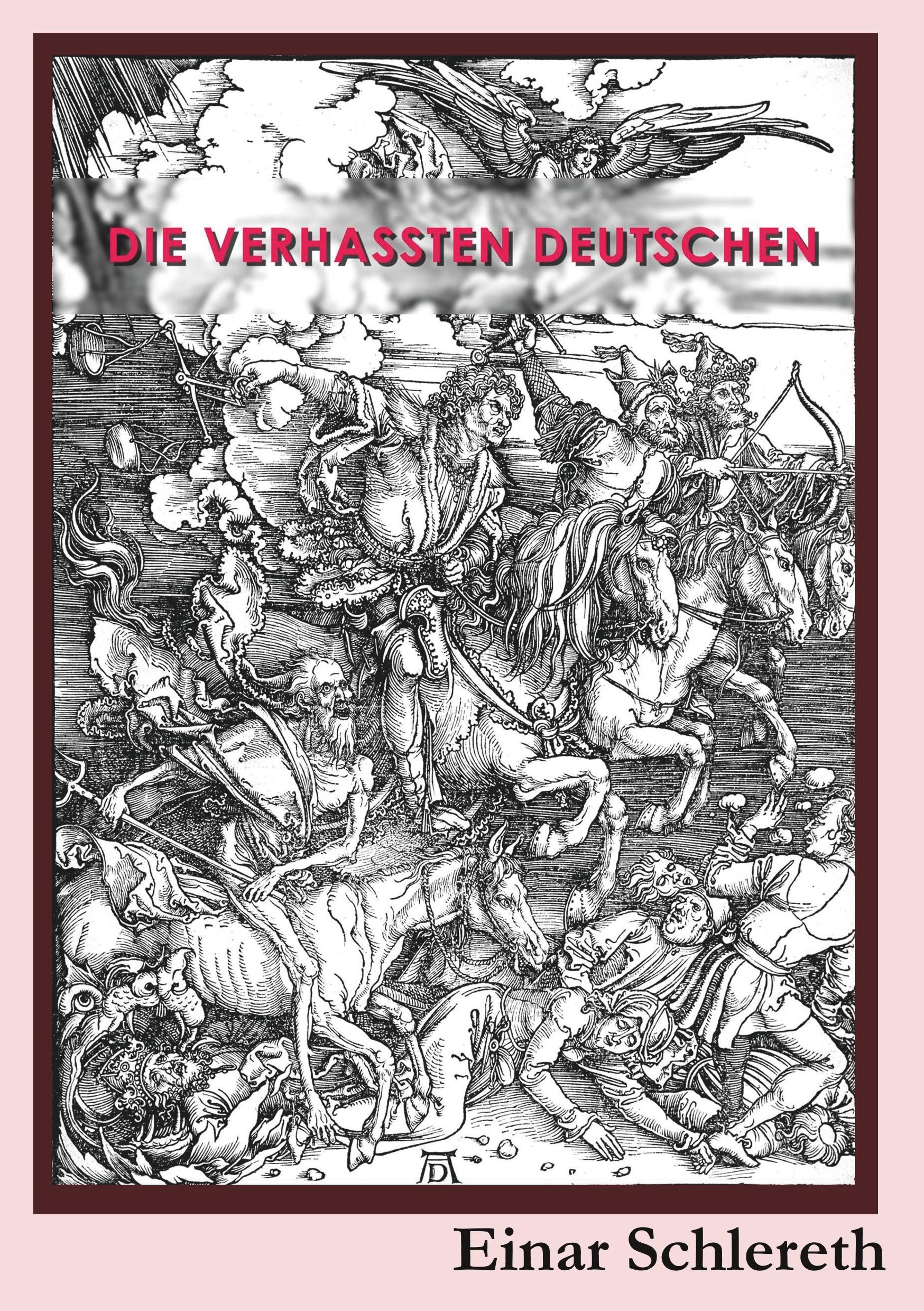 Vorderes Coverbild Die verhassten Deutschen