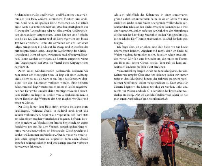 Beispielinhalt (Bild) Mit drei Lamas nach Rom