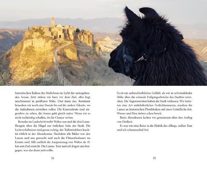 Beispielinhalt (Bild) Mit drei Lamas nach Rom