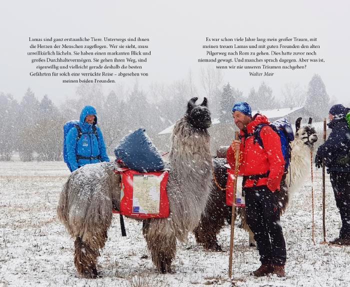 Beispielinhalt (Bild) Mit drei Lamas nach Rom