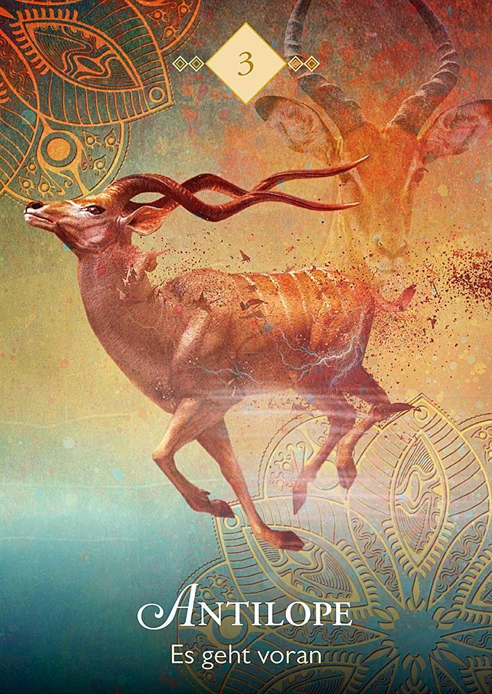 Beispielinhalt (Bild) Das Orakel der Krafttiere