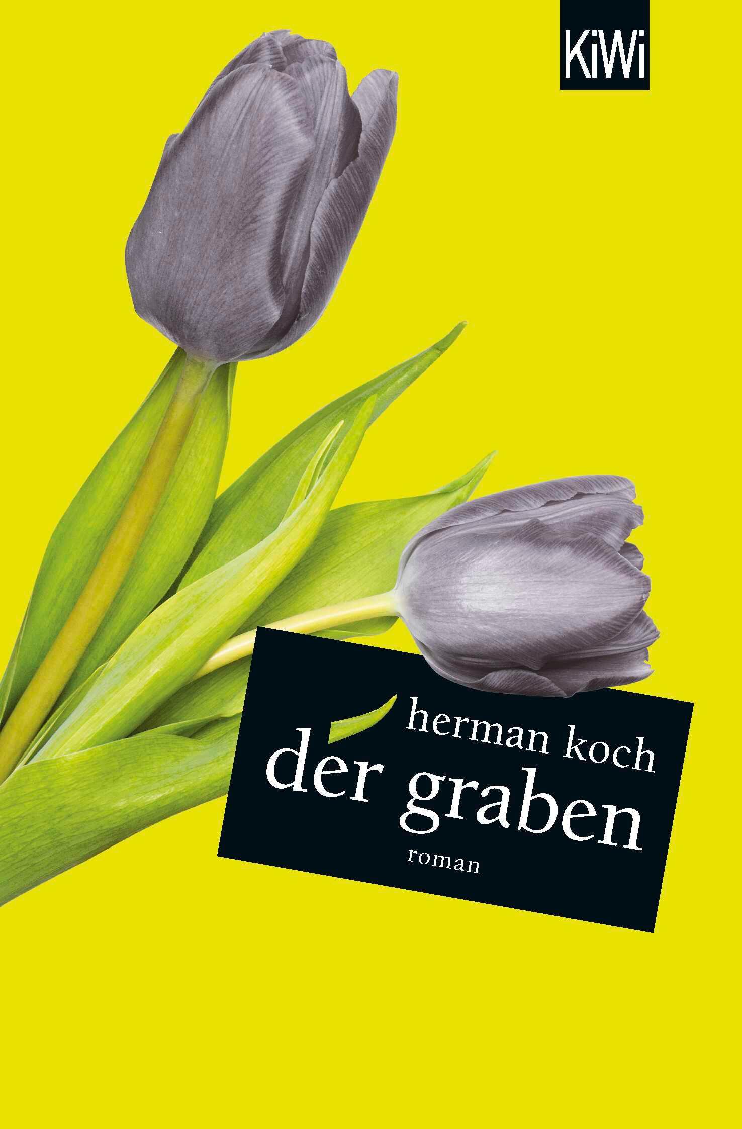 Vorderes Coverbild Der Graben