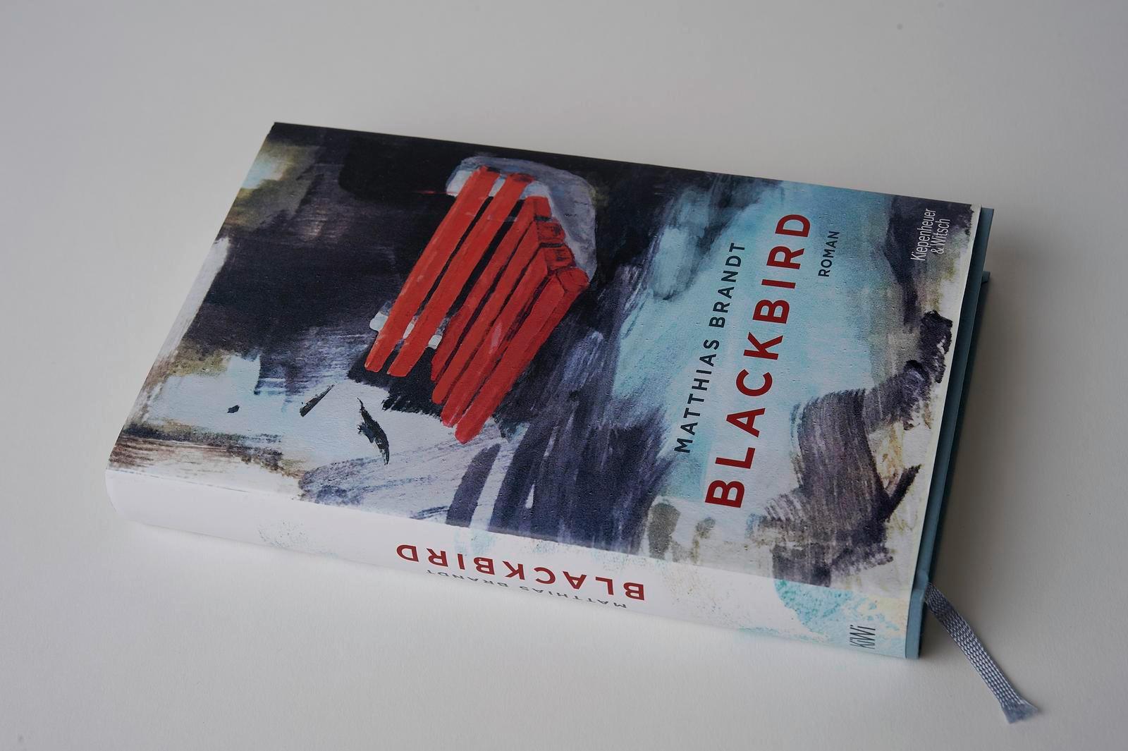 Beispielinhalt (Bild) Blackbird