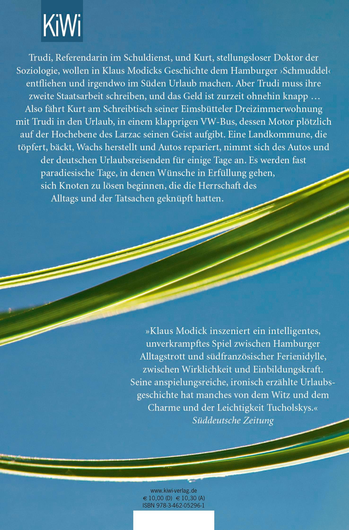 Rückseitencover Ins Blaue