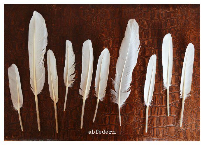 Beispielinhalt (Bild) von Herzen - Postkartenbuch