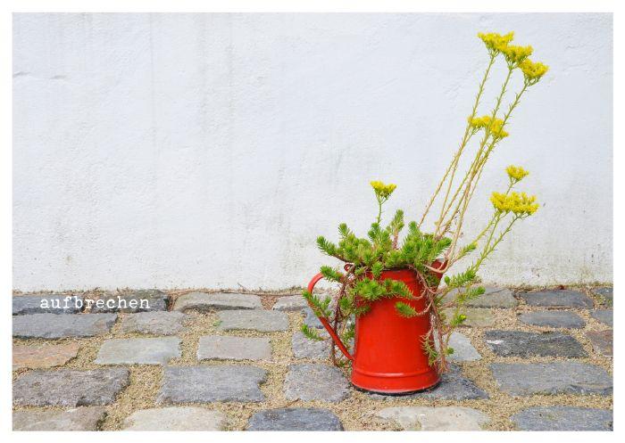 Beispielinhalt (Bild) von Herzen - Postkartenbuch