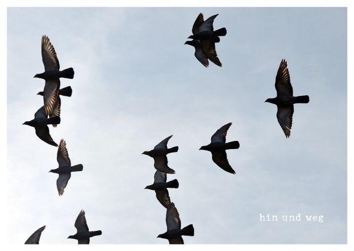 Beispielinhalt (Bild) Einfach so - Postkartenbuch