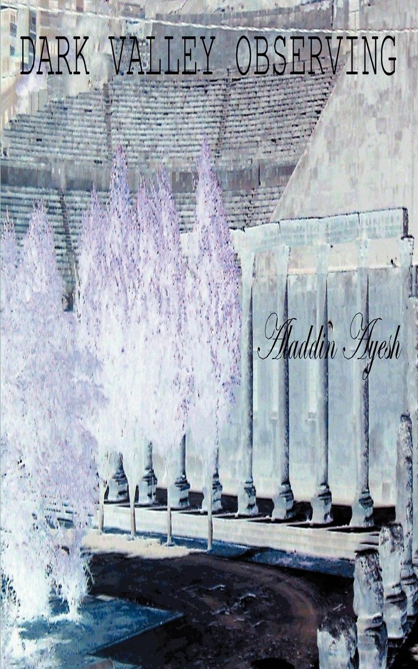 Vorderes Coverbild Dark Valley Observing