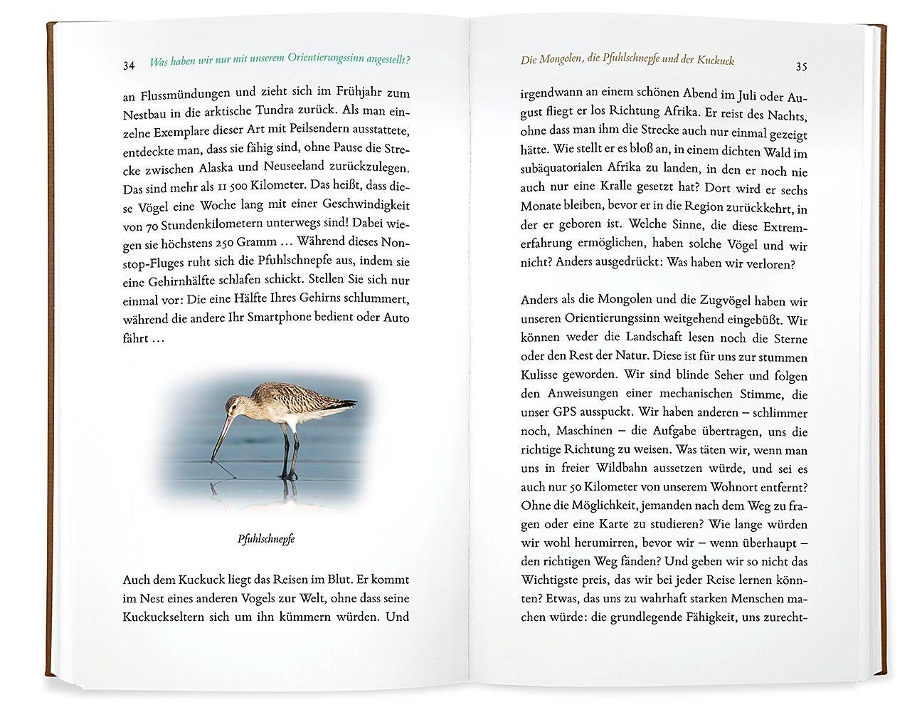 Beispielinhalt (Bild) Kleine Philosophie der Vögel