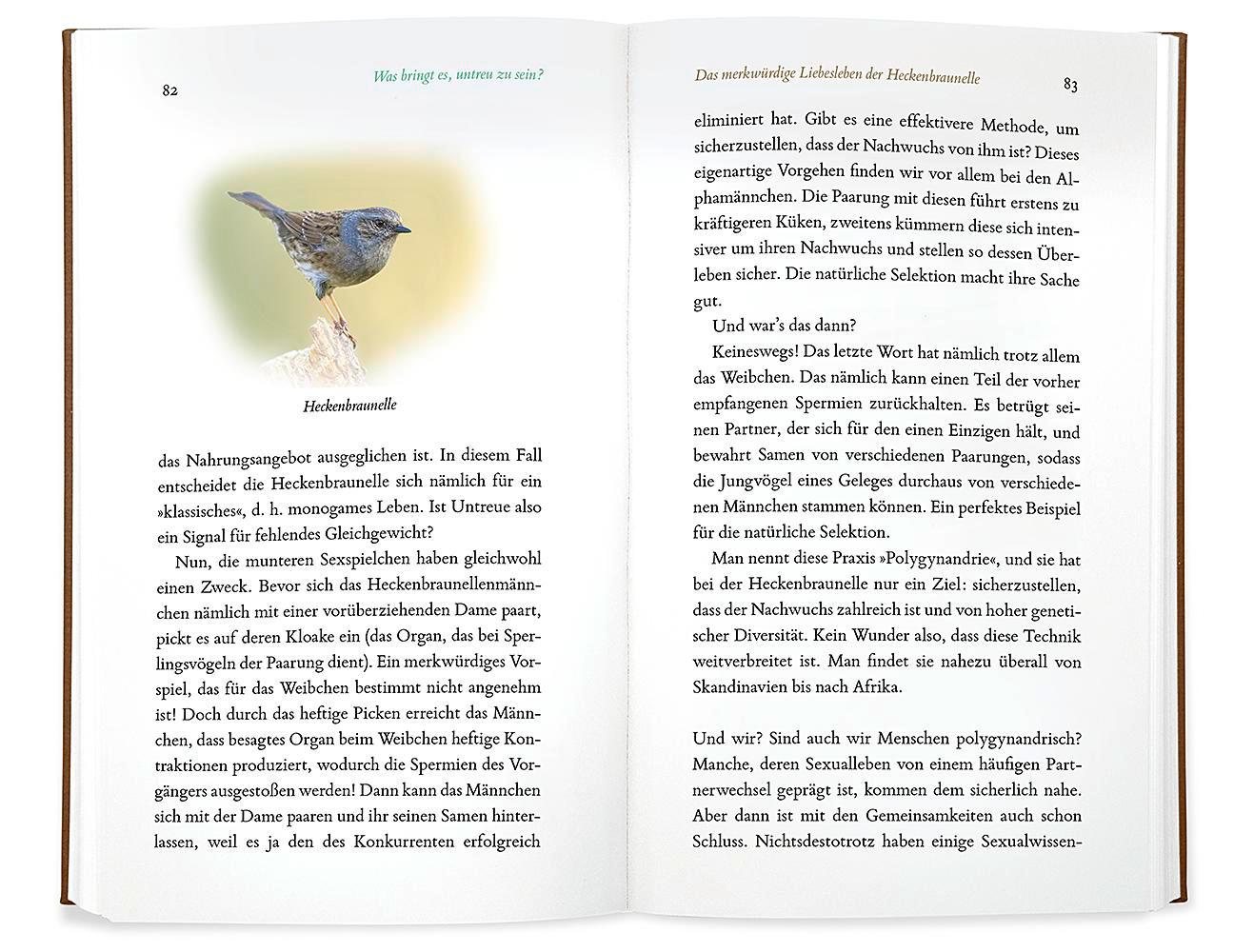 Beispielinhalt (Bild) Kleine Philosophie der Vögel