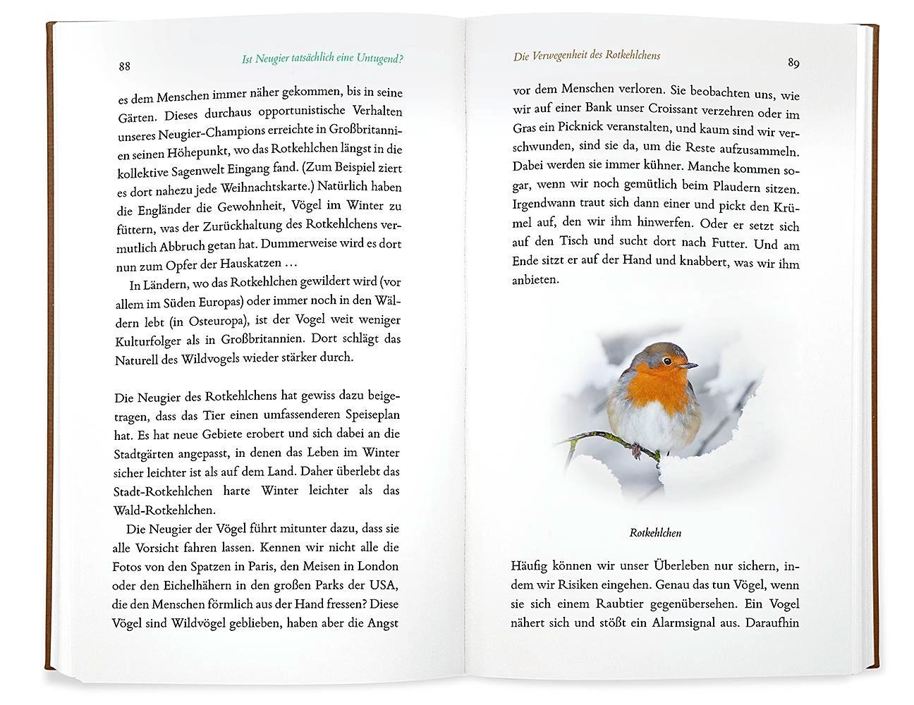 Beispielinhalt (Bild) Kleine Philosophie der Vögel