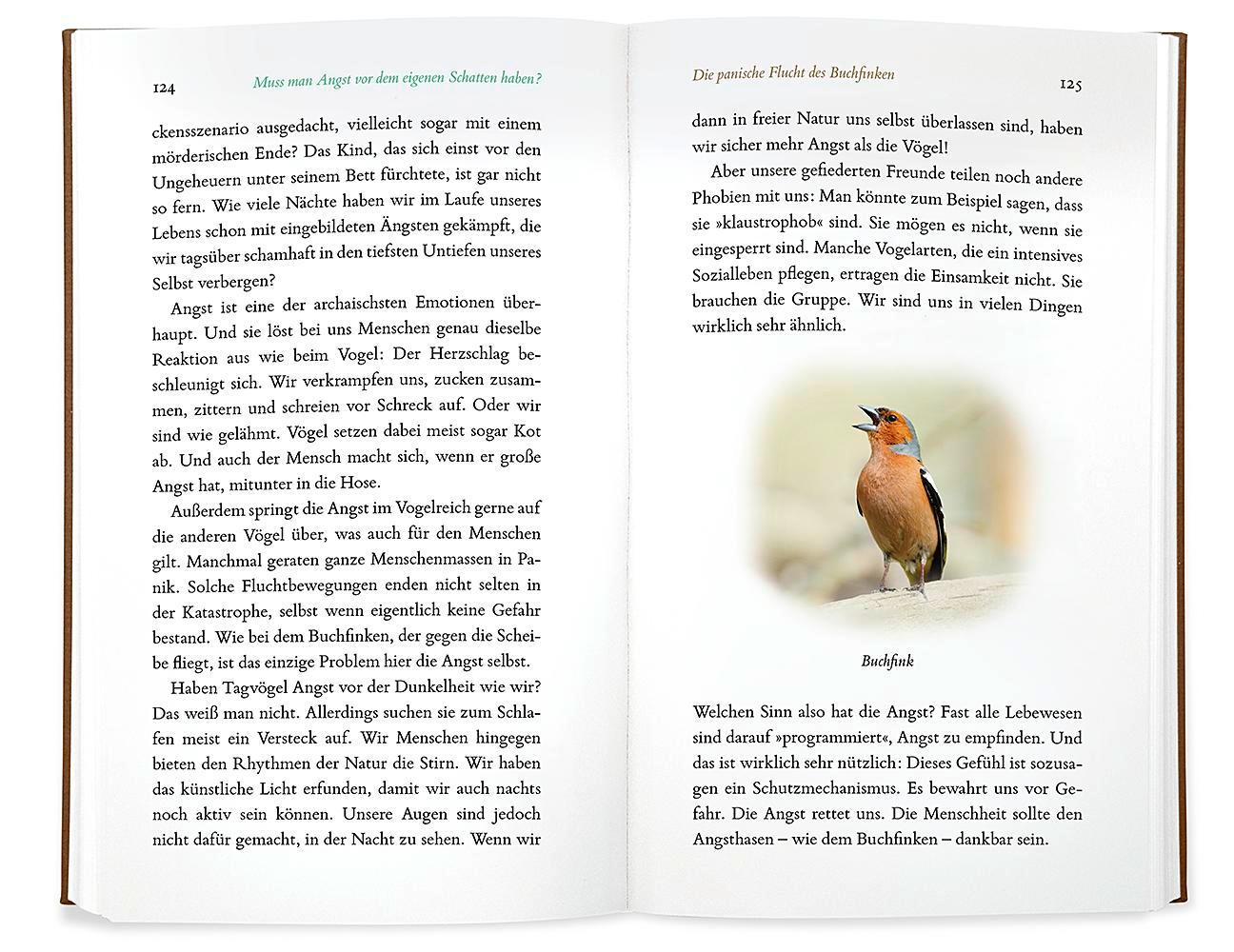 Beispielinhalt (Bild) Kleine Philosophie der Vögel
