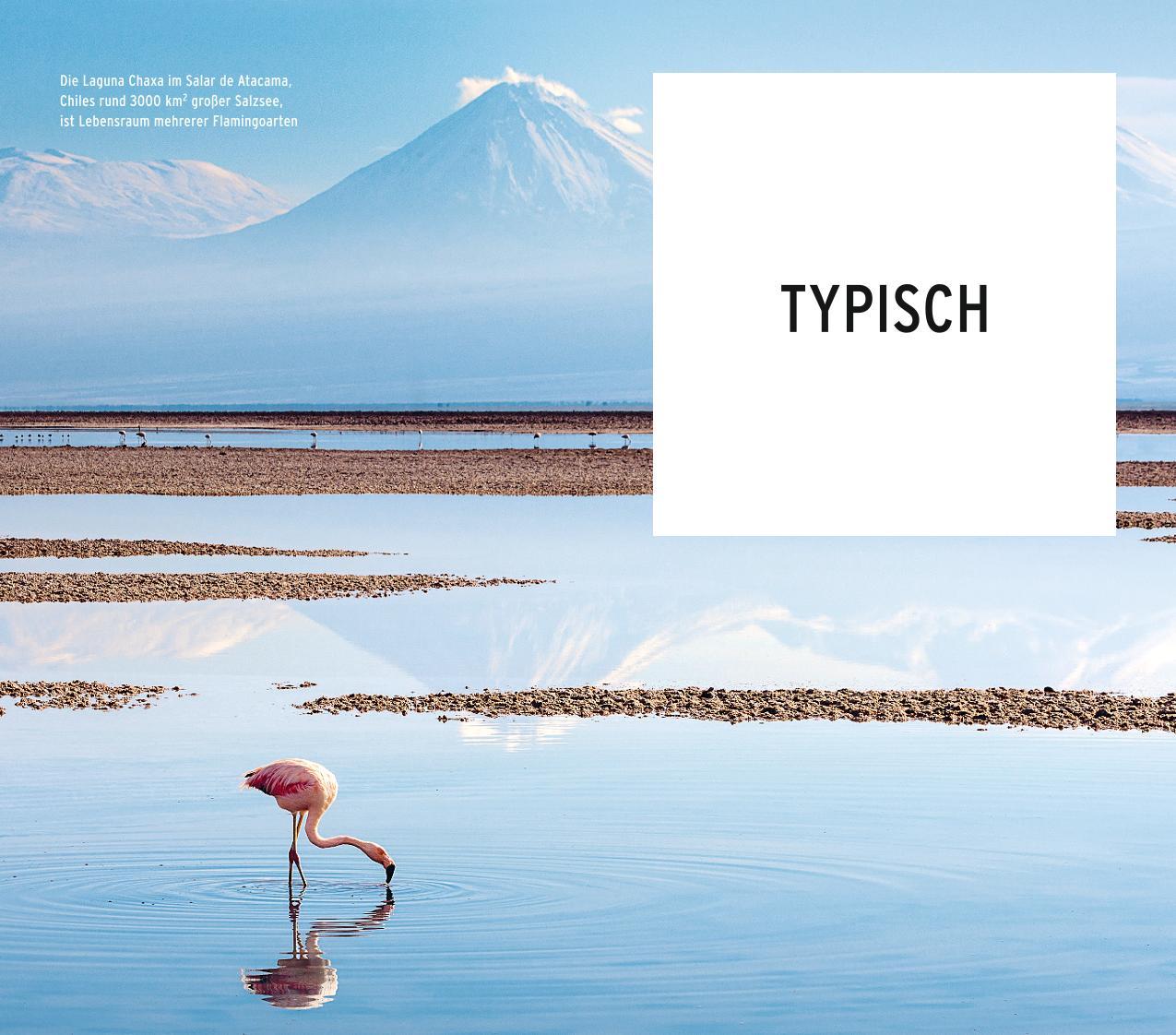 Beispielinhalt (Bild) POLYGLOTT on tour Reiseführer Chile