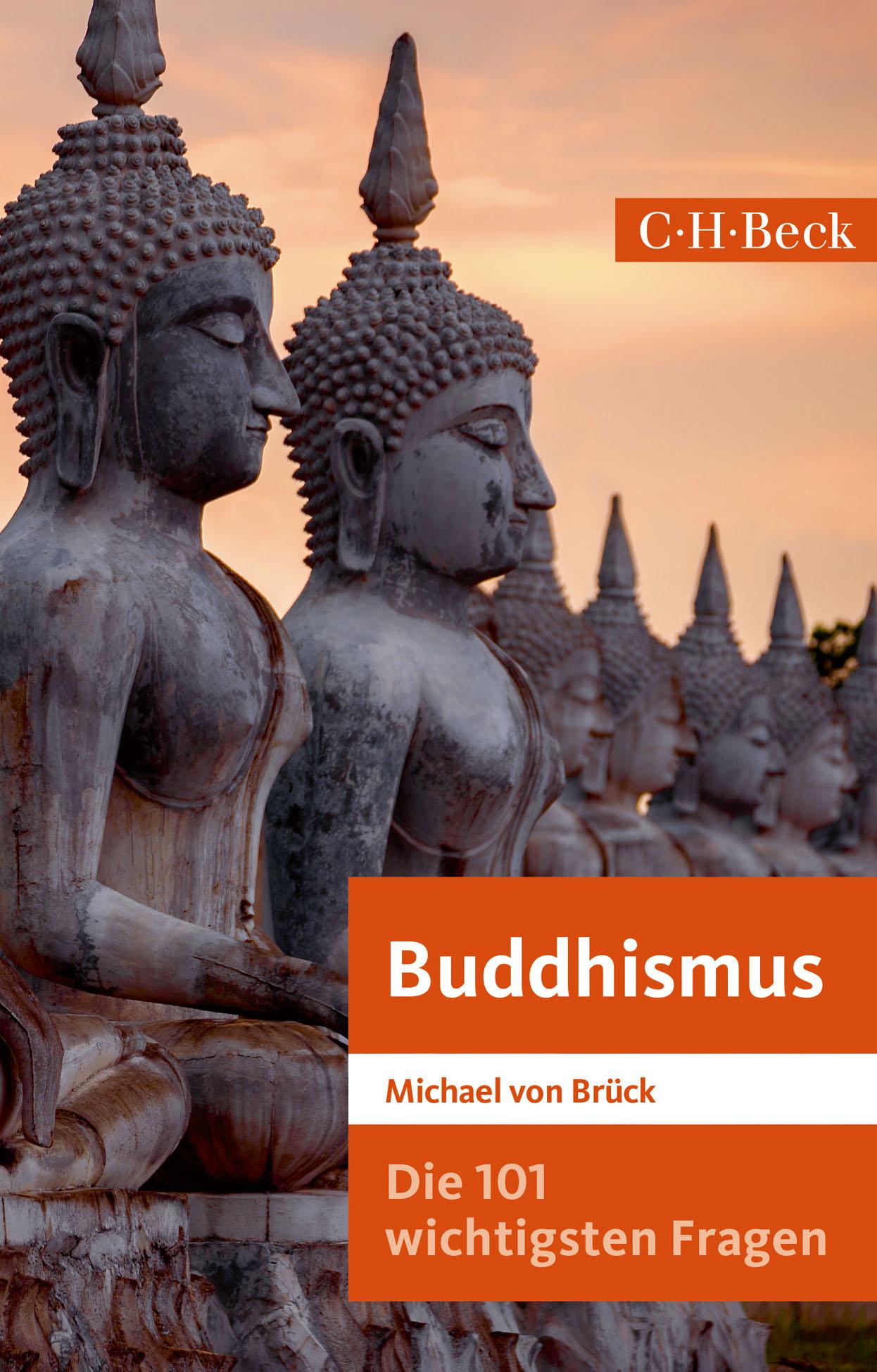 Vorderes Coverbild Die 101 wichtigsten Fragen: Buddhismus