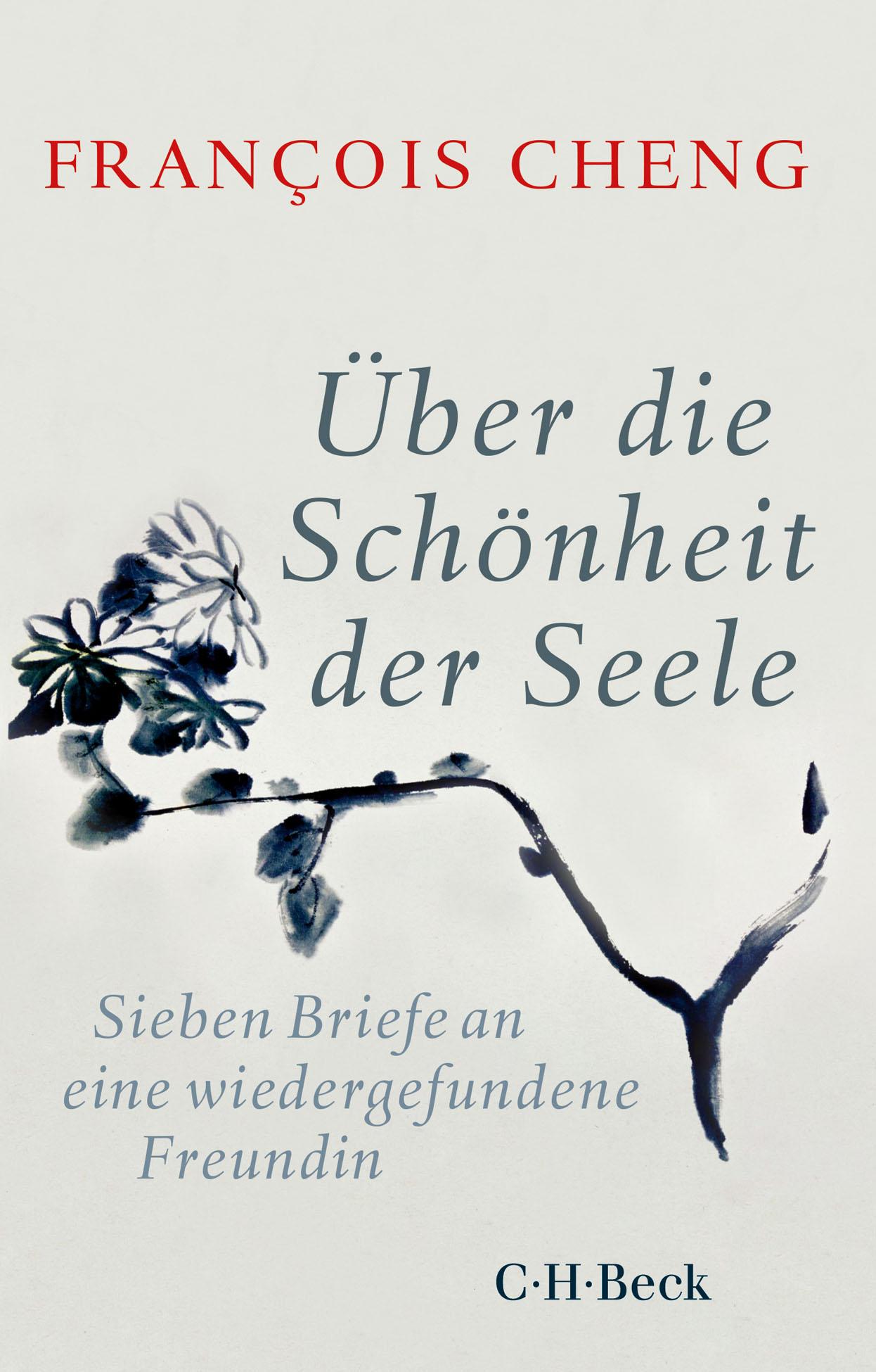 Vorderes Coverbild Über die Schönheit der Seele