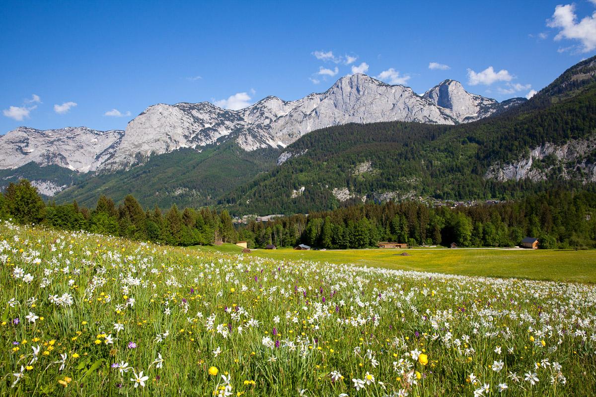 Beispielinhalt (Bild) NATURJUWEL SALZKAMMERGUT