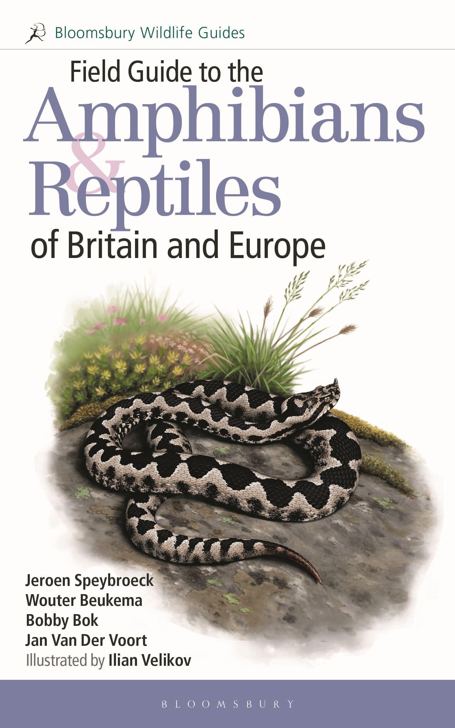 Vorderes Coverbild Field Guide to the Amphibians and Reptiles of Britain and Europe