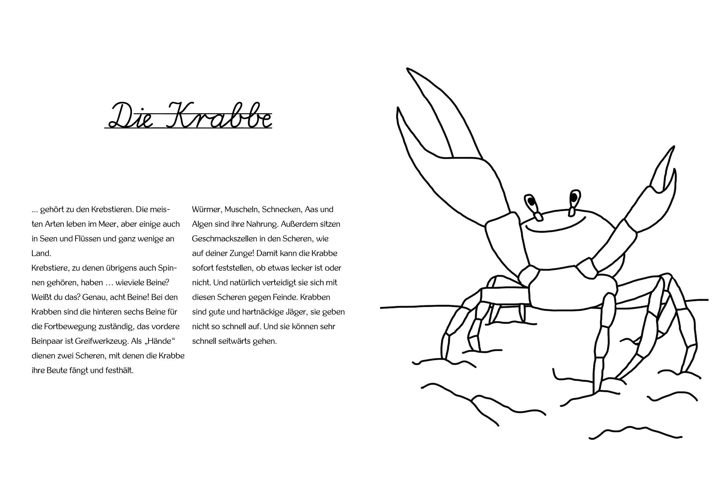 Beispielinhalt (Bild) Mein Unter Wasser Malbuch