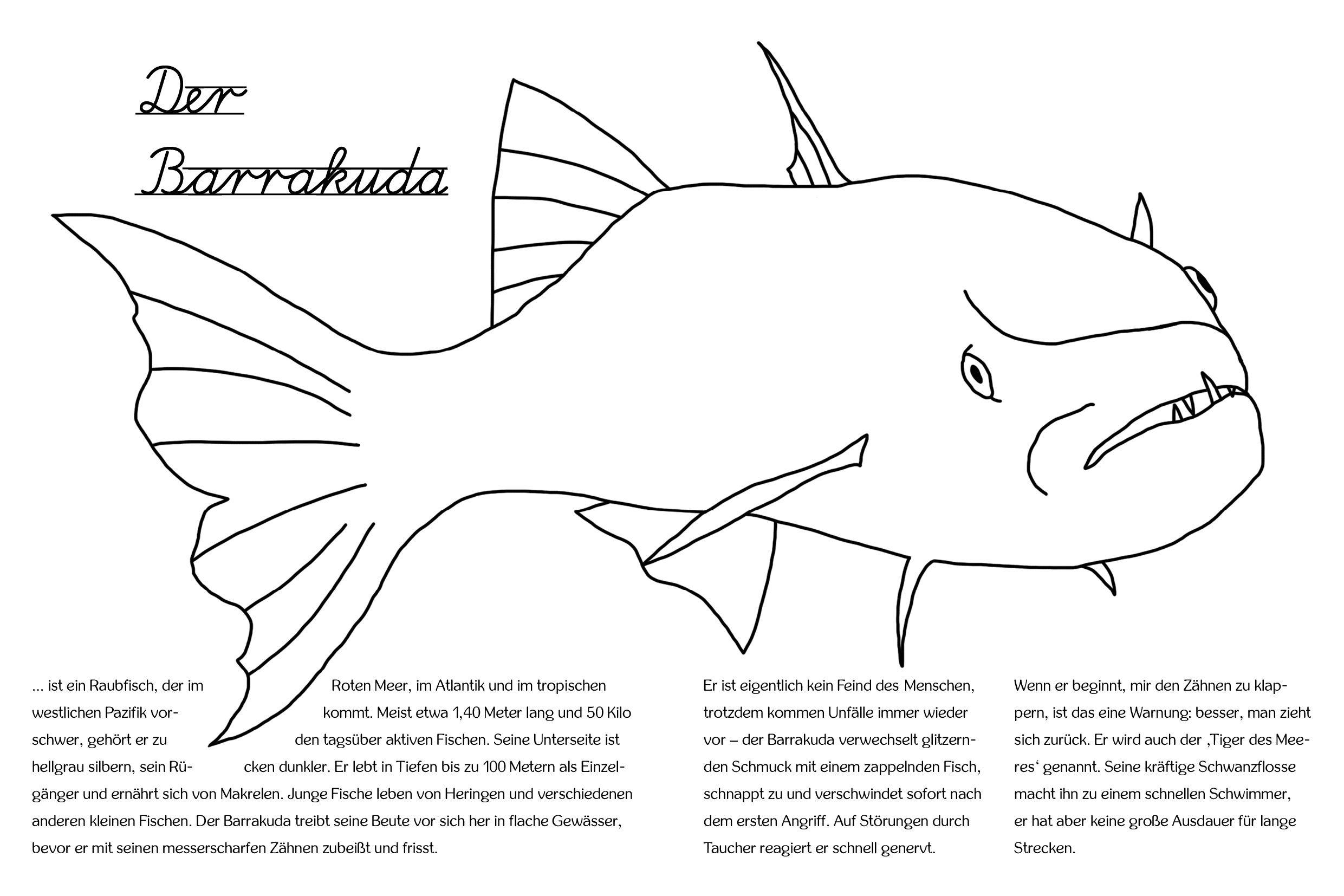 Beispielinhalt (Bild) Mein Unter Wasser Malbuch