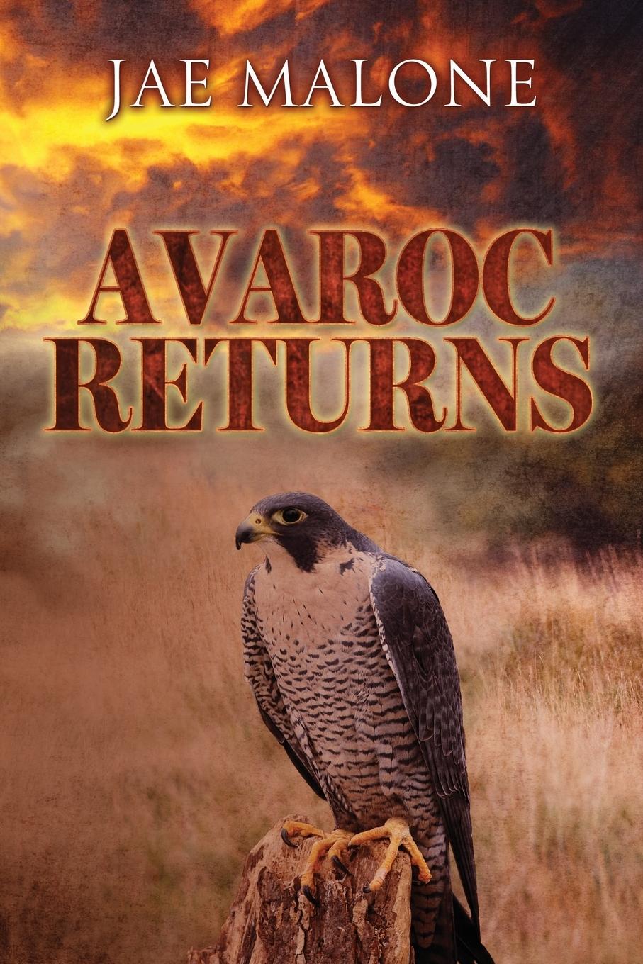 Vorderes Coverbild Avaroc Returns