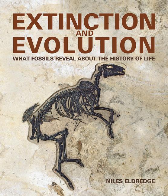Vorderes Coverbild Extinction and Evolution