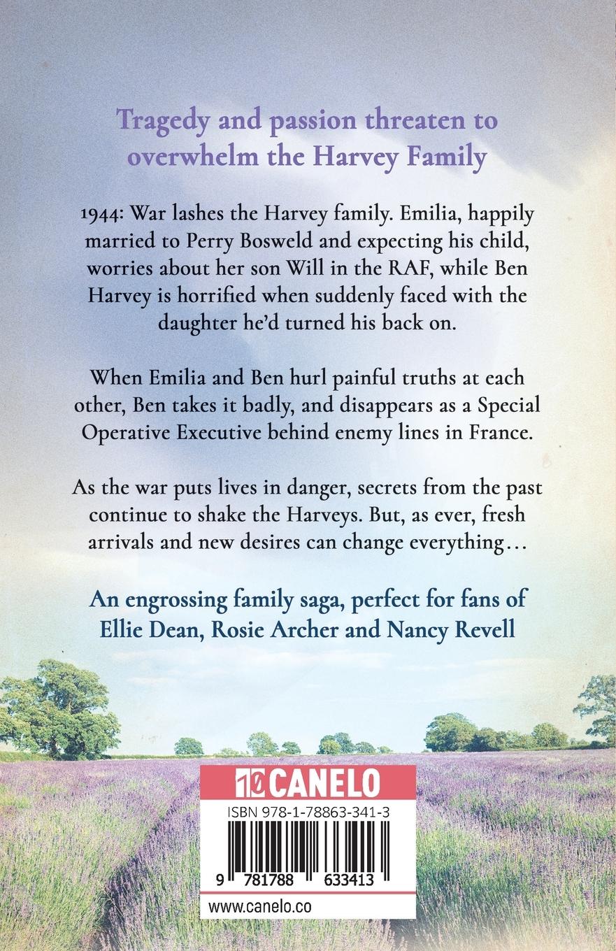 Rückseitencover Never Just a Memory