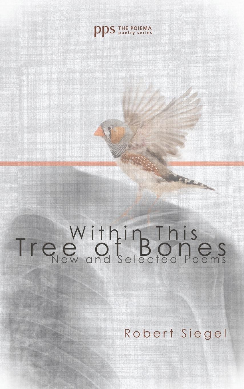 Vorderes Coverbild Within This Tree of Bones