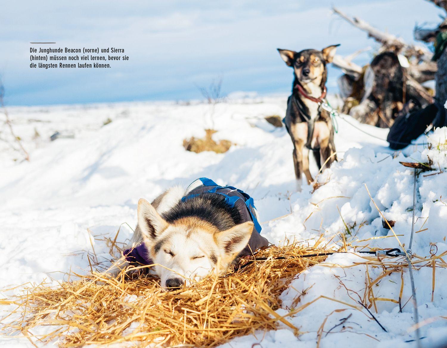 Beispielinhalt (Bild) Wintertanz