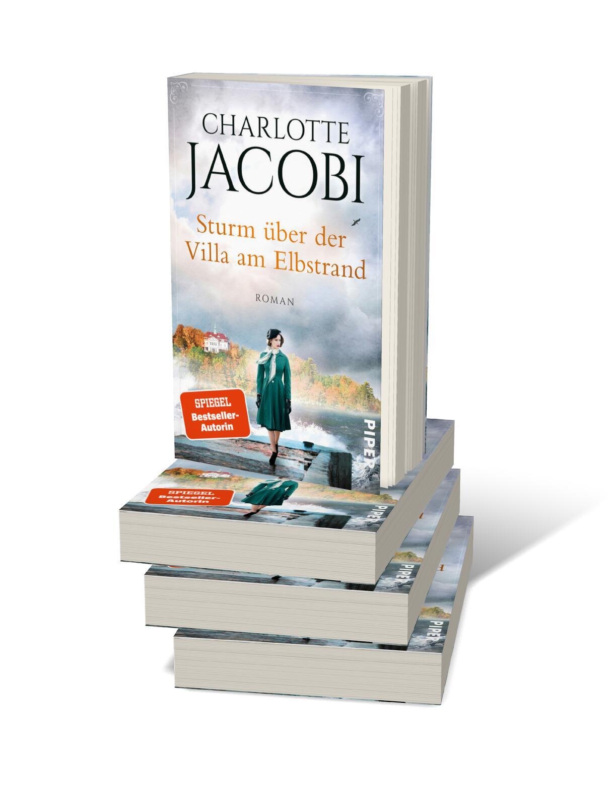 Beispielinhalt (Bild) Sturm über der Villa am Elbstrand