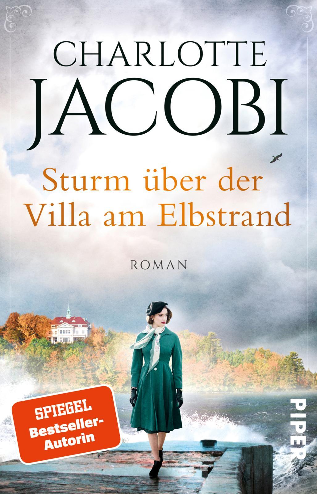 Vorderes Coverbild Sturm über der Villa am Elbstrand